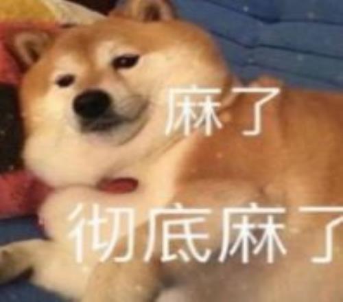 谢周三主帅,罗尔有望接,棒范尼,BG真人视讯,BG真人,(Sports),BG视讯官网,BG真人官方平台