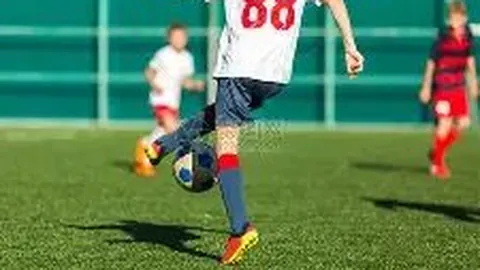 2025年11月26日老凤祥金价查询：今日金价是多少_老凤祥金价实时查询