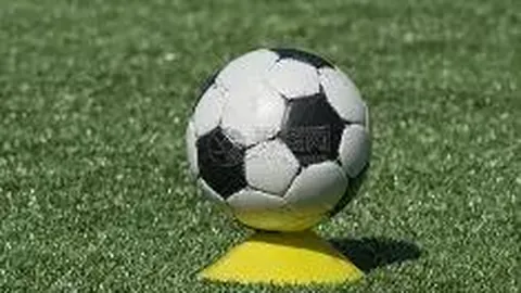 BG真人官方平台 产品 102255 qnv