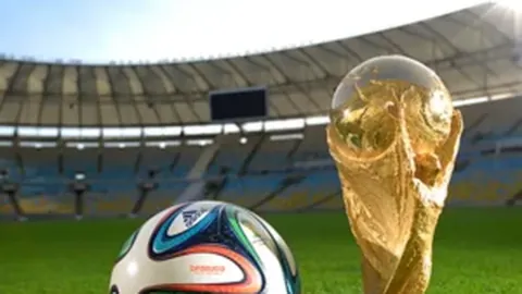 BG真人官方平台 产品 100231 m7w