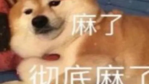 谢周三主帅罗尔有望接棒范尼，南安普顿同样感兴趣