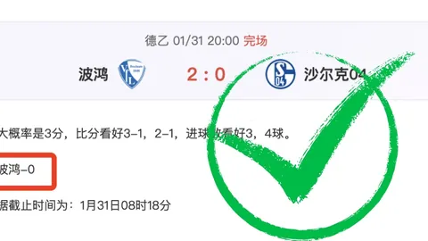 王楚钦30日沙场风云突变：莎头组合命运多舛，未来动向备受瞩目！